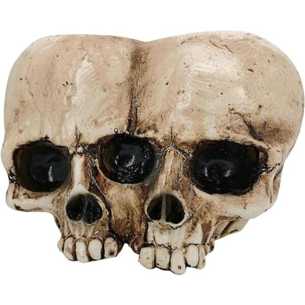 Macetas de calavera para plantas de interior maceta de