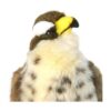 Percival The Peregrine Falcon Pájaro de peluche de Hawk_5