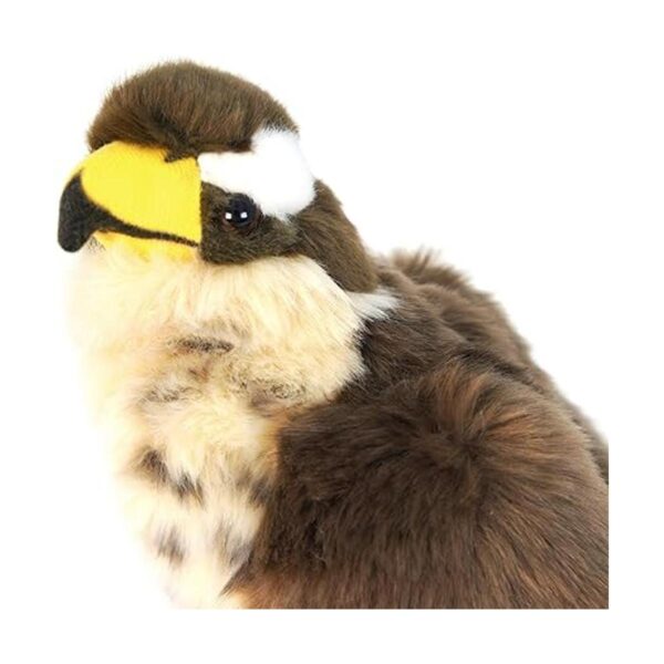 Percival The Peregrine Falcon Pájaro de peluche de Hawk_4