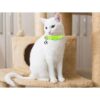 Uteuvili 12 collares de gato con campana coloridos y