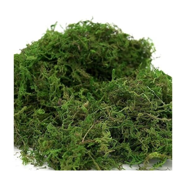 Usmola Musgo artificial artificial 8 onzas de musgo_6