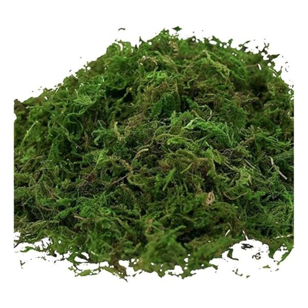 Usmola Musgo artificial artificial 8 onzas de musgo_2