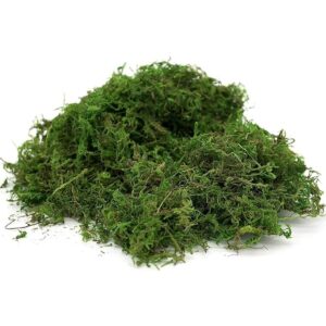 Generic Usmola Musgo artificial verde para plantas en_1