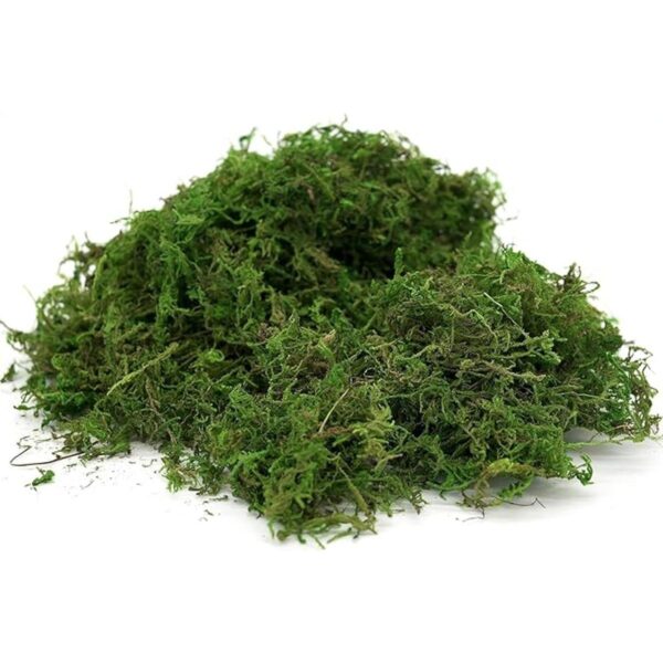 Generic Usmola Musgo artificial verde para plantas en_1