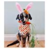 Diadema con orejas de conejo para perros y pañuelo de Pascua_1