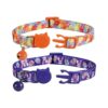 BoomBone Collar de Pascua para gatos con campana_2
