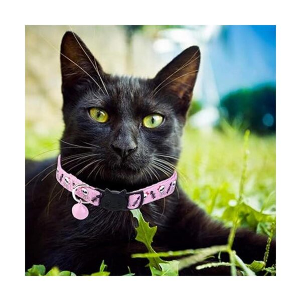 BoomBone Collar para gato diseño de calavera con