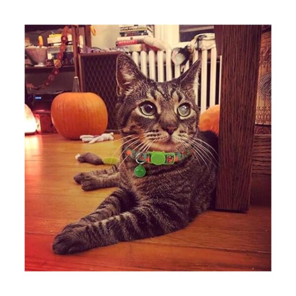 Thanksgiving Cat CollarSafety Puppy Collars Breakaway