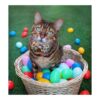 Collar de corbata de gato de Pascua ajustable con