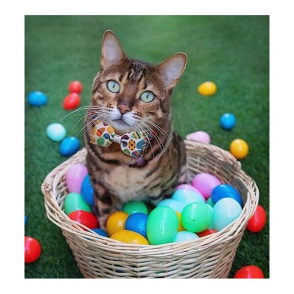 Collar de corbata de gato de Pascua ajustable con