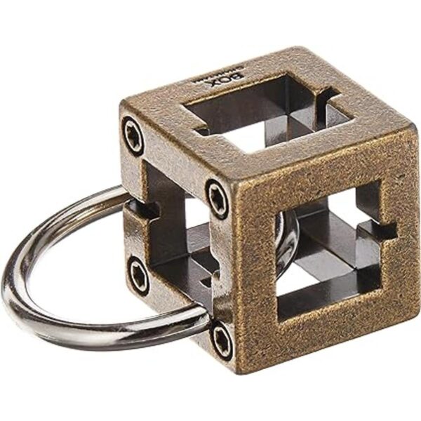 Bepuzzled Box Hanayama Rompecabezas de metal fundido_2