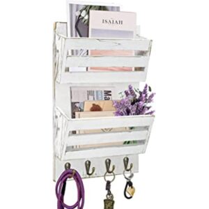 Unistyle Organizador de correo colgante con 4 ganchos para