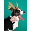 Unique style paws Collar de perro con flor collar de