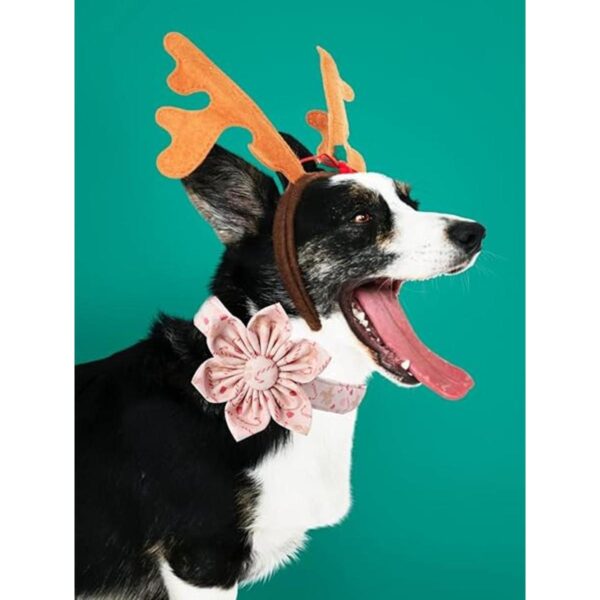 Unique style paws Collar de perro con flor collar de