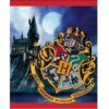El paquete de suministros de fiesta de cumpleaños de Harry_2