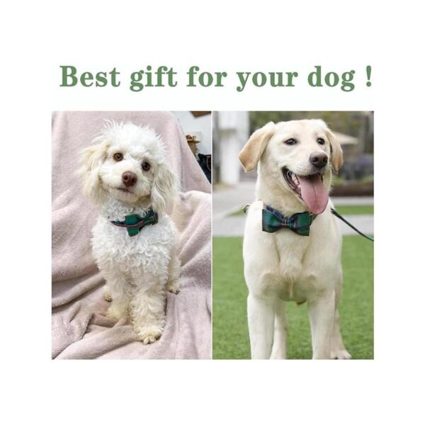 Collar para perro y gato USP para mascotas suave y cómodo