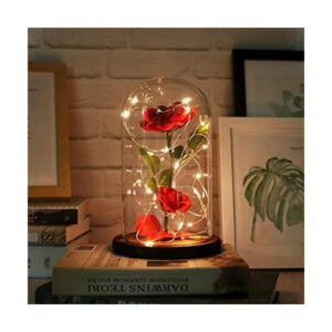 URBANSEASONS Beauty and The Beast Kit de rosa rosa de