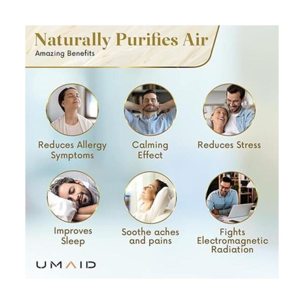 UMAID Auténtica lámpara de sal natural del Himalaya_5