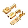 Twidec 150 piezas de conector macho hembra de 0.248 in_2