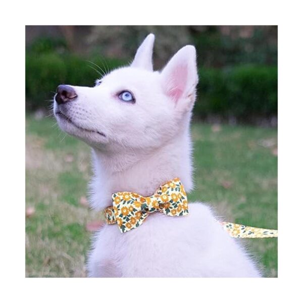 Collar de perro floral con elegante pajarita de algodón_4