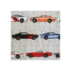 Lush Decor Lush Décor Race Cars Manta de sherpa 60 x 50_3