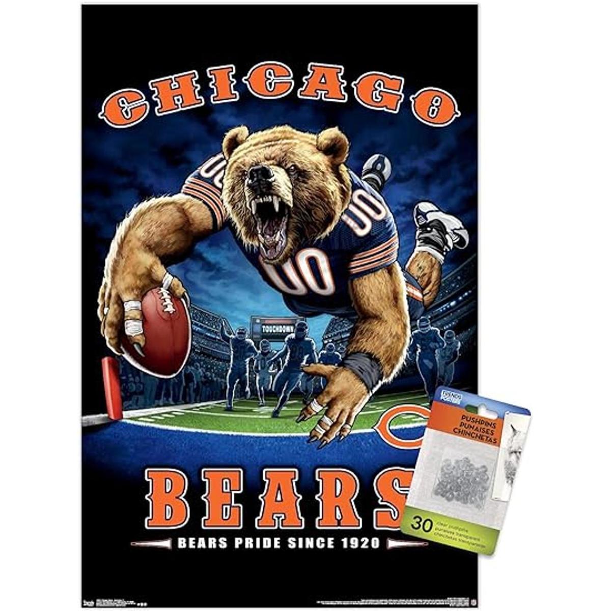 Póster de la NFL Chicago Bears End Zone 17 con pasadores