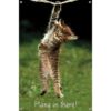 Famous Kitten Hang In There Poster Wall Poster with Push_4