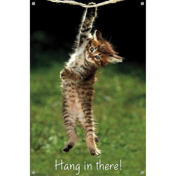 Famous Kitten Hang In There Poster Wall Poster with Push_4