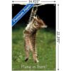 Famous Kitten Hang In There Poster Wall Poster with Push_3