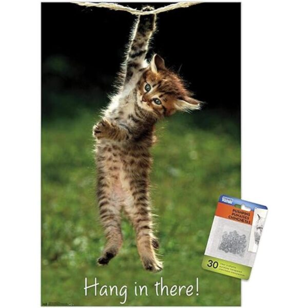 Famous Kitten Hang In There Poster Wall Poster with Push_1