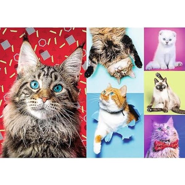 Trefl Rompecabezas rojo de 1000 piezas Happy Cats_2