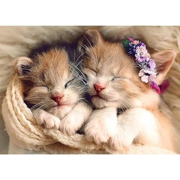 Trefl Rompecabezas rojo de 500 piezas Gatitos durmiendo_2