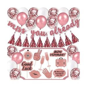Kit de decoración de fiesta de Going Away Pancarta Miss_1