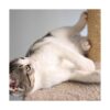3Tier Cat Tower Collection 2 Carpeted Napping Perches_6