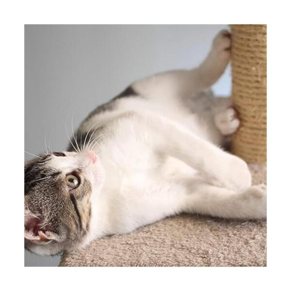 3Tier Cat Tower Collection 2 Carpeted Napping Perches_6