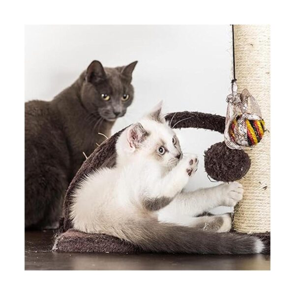 Cat Tower Collection Napping Perches Cat Condo 9 Sisal_6