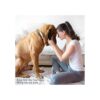 PETMAKER Juego de 2 cuencos colgantes de acero inoxidable_4