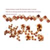 Toys of Wood Oxford Rompecabezas de madera con forma de_2