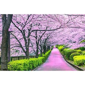 Cherry Blossom Bliss Tokio Japón Puzzle para adultos y_1