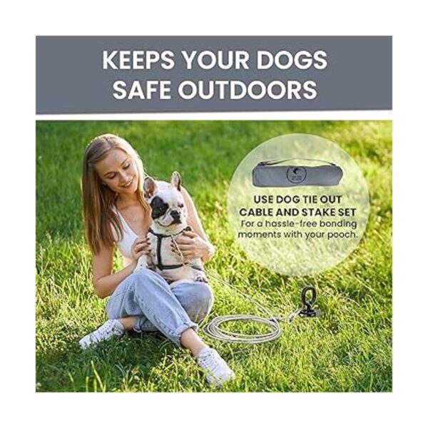 Juego de estacas resistentes para perros con cepillo de