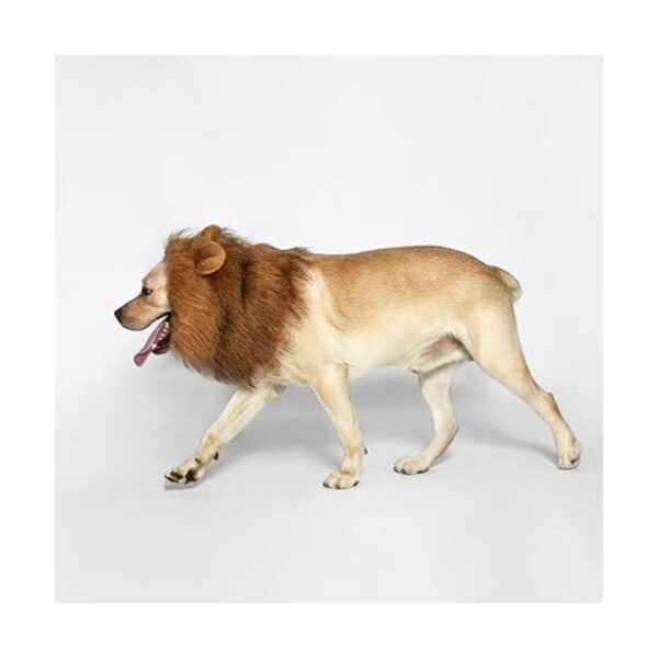 TOMSENN Melena de león para perro melena de león realista_5