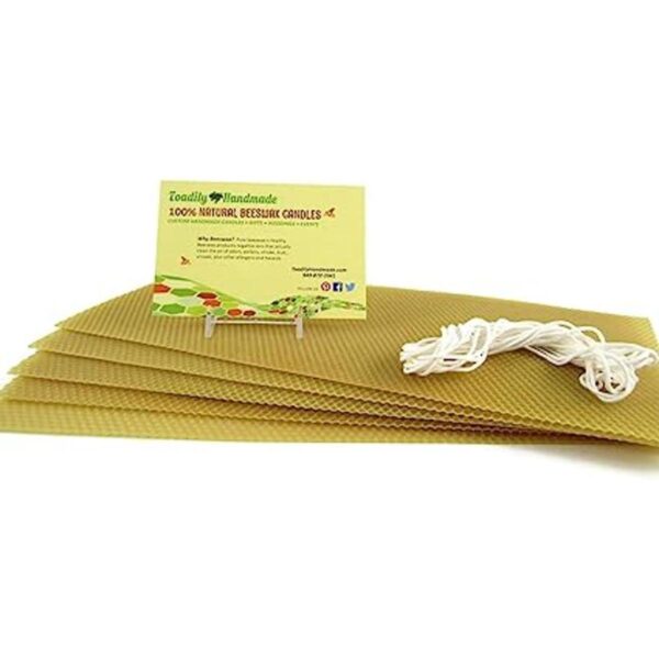 Kit de inicio de vela de cera de abeja incluye 5 hojas de