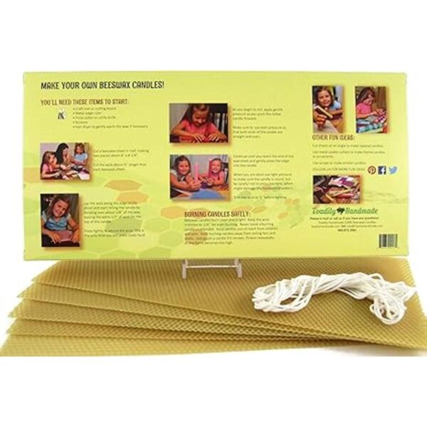 Kit de inicio de vela de cera de abeja incluye 5 hojas de
