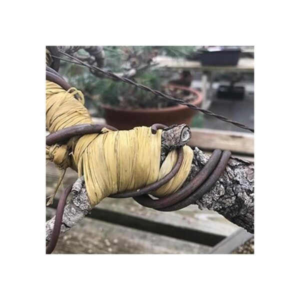 Bonsai rbol de rafia Rama Protección Cableado ayuda_2