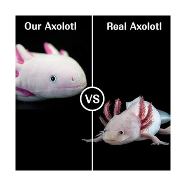 Axolotl Peluche de peluche de ambistoma bonito juguete