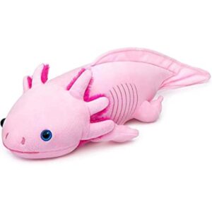 Axolotl Peluche de peluche de ambistoma bonito juguete