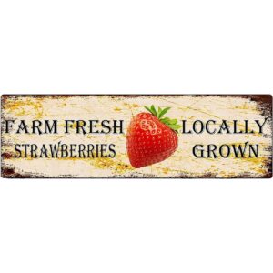 Farm Fresh Strawberries Retro Road Street Placa de metal_1