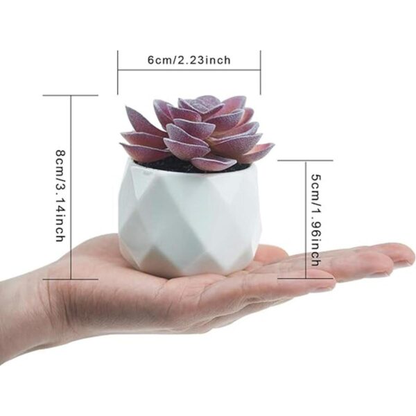 Plantas artificiales de escritorio falsas suculentas_2