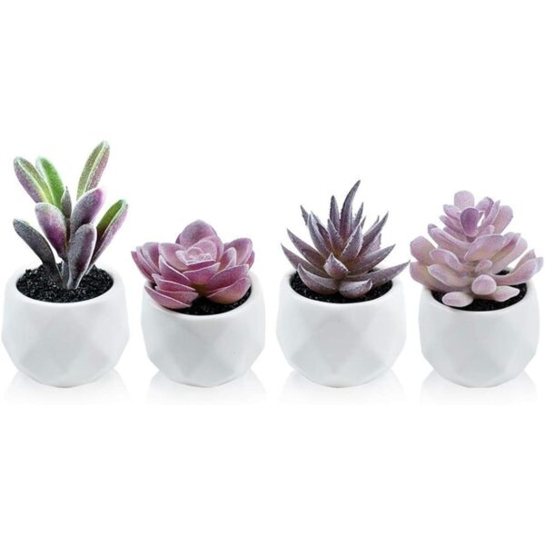Plantas artificiales de escritorio falsas suculentas_1