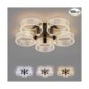 LED Ceiling Light Fixtures Dimming Ceiling Lights with_1